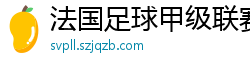 法国足球甲级联赛